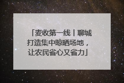 麦收第一线丨聊城打造集中晾晒场地，让农民省心又省力